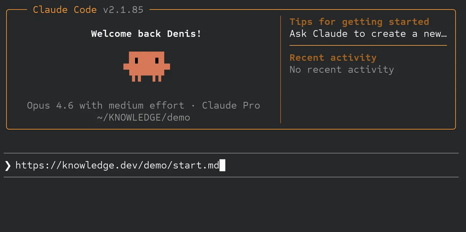 Agent prompt input example